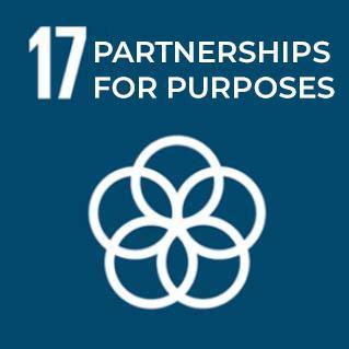 17-partnerships